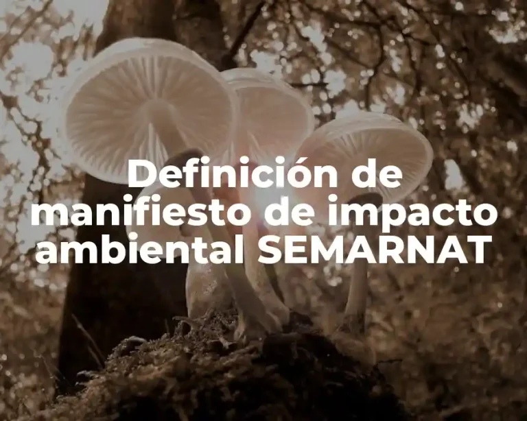Definición de manifiesto de impacto ambiental SEMARNAT