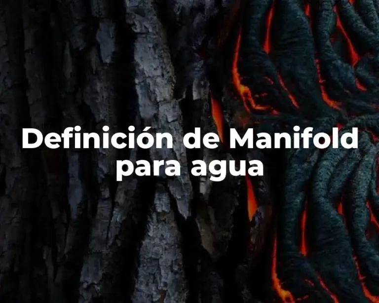 Definición de Manifold para agua