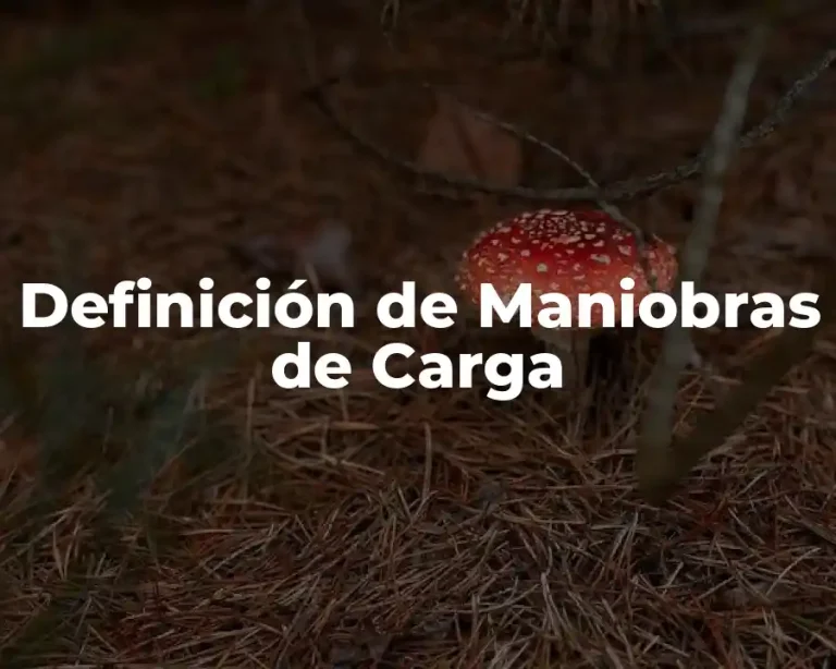Definición de Maniobras de Carga