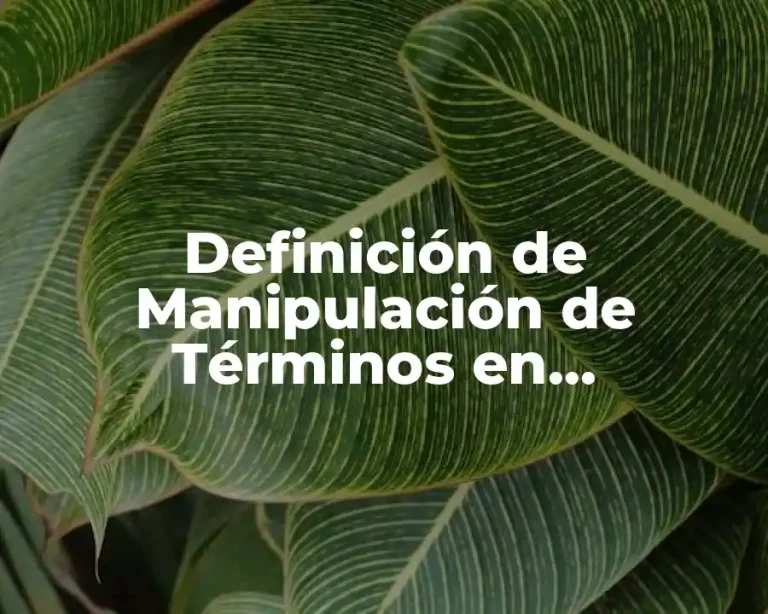 Definición de Manipulación de Términos en Programación Lógica