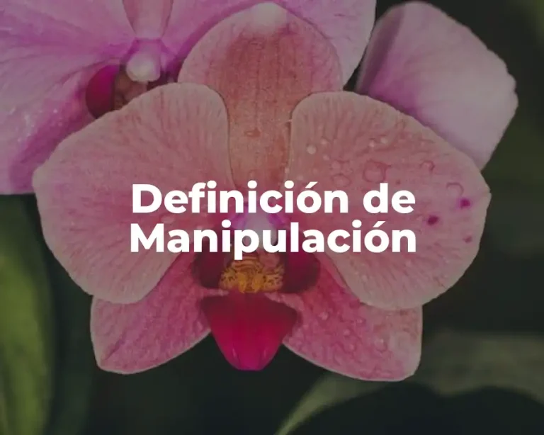 Definición de Manipulación