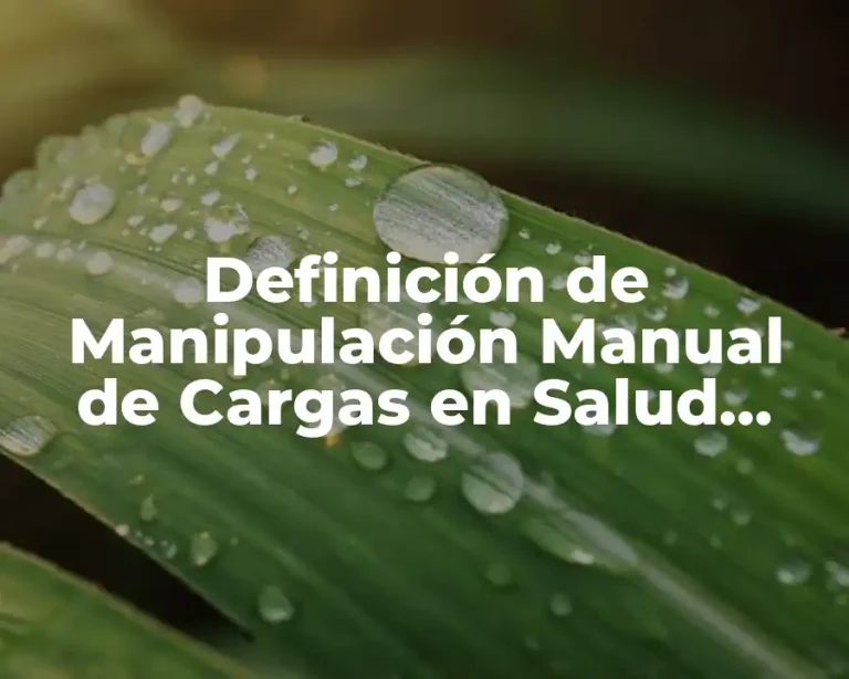 Definición de Manipulación Manual de Cargas en Salud Ocupacional