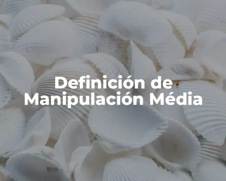 Definición de Manipulación Média