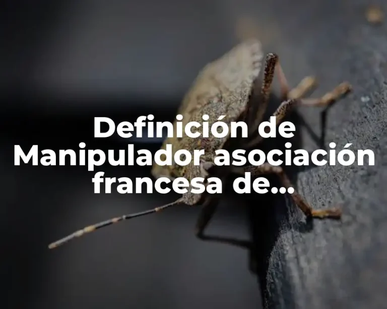 Definición de Manipulador asociación francesa de normalización