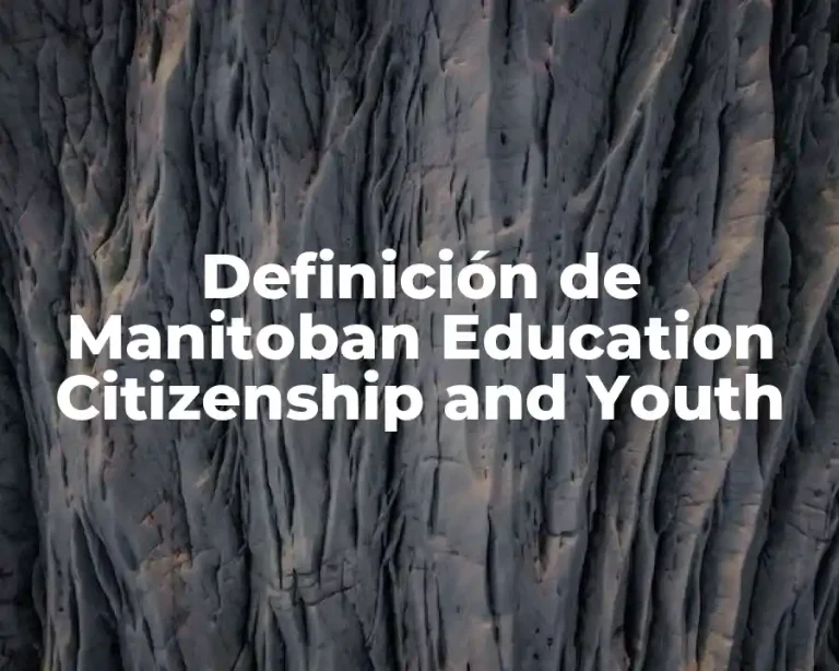 Definición de Manitoban Education Citizenship and Youth