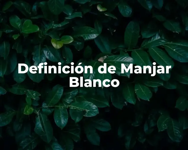 Definición de Manjar Blanco