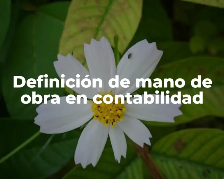 Definición de mano de obra en contabilidad