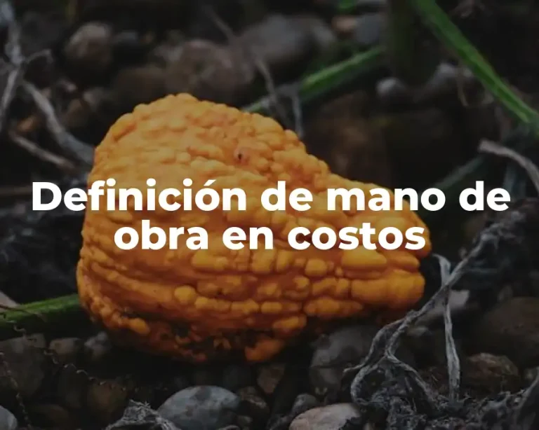 Definición de mano de obra en costos