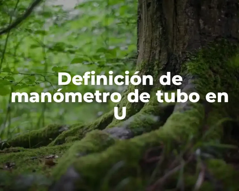 Definición de manómetro de tubo en U
