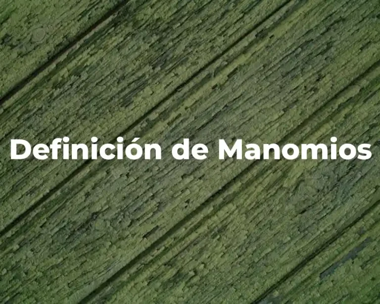 Definición de Manomios