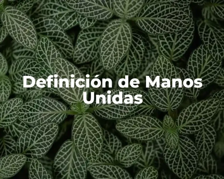 Definición de Manos Unidas