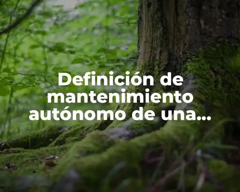 Definición de mantenimiento autónomo de una máquina de inyección