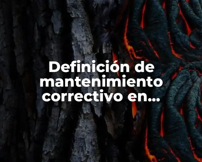 Definición de mantenimiento correctivo en informática