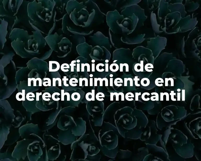 Definición de mantenimiento en derecho de mercantil