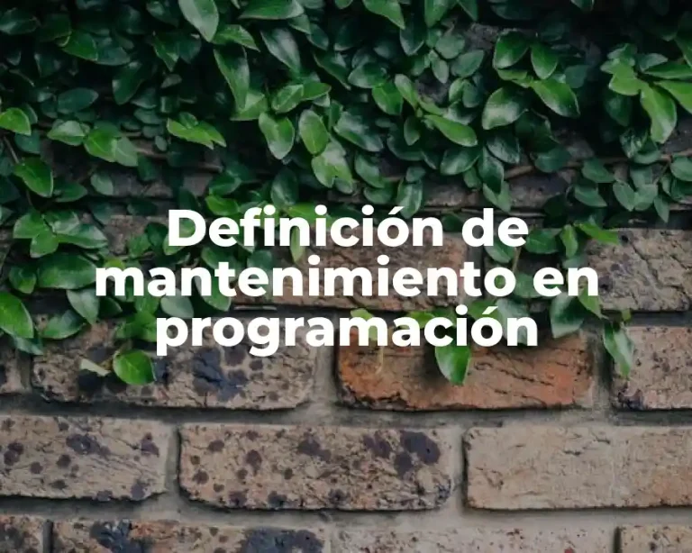 Definición de mantenimiento en programación