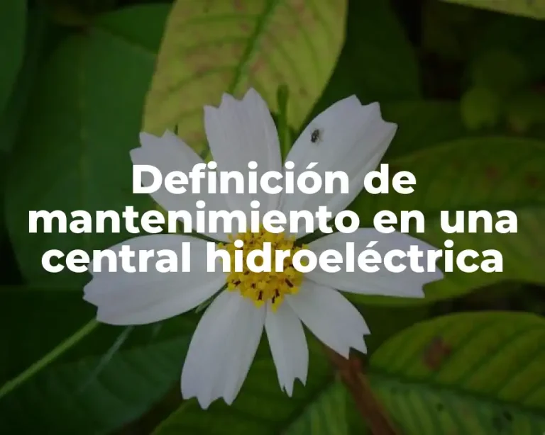 Definición de mantenimiento en una central hidroeléctrica