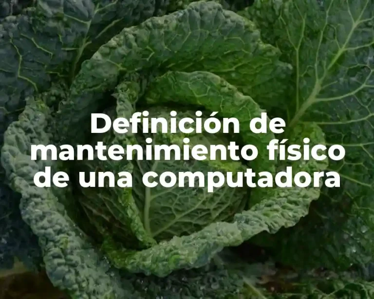 Definición de mantenimiento físico de una computadora