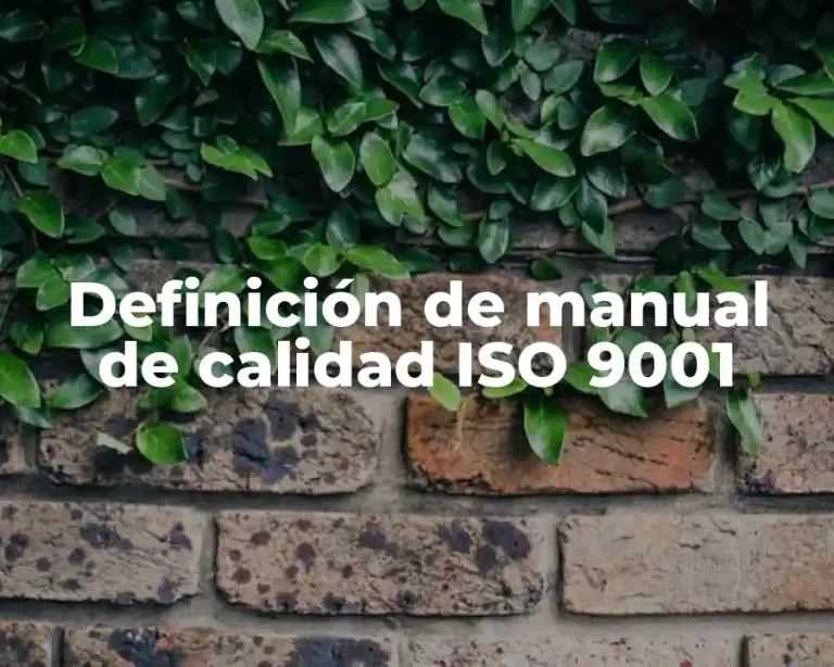 Definición de manual de calidad ISO 9001
