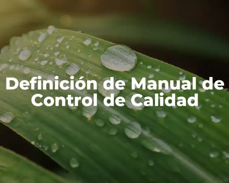 Definición de Manual de Control de Calidad