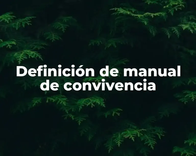 Definición de manual de convivencia