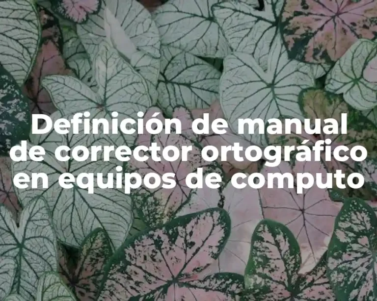 Definición de manual de corrector ortográfico en equipos de computo