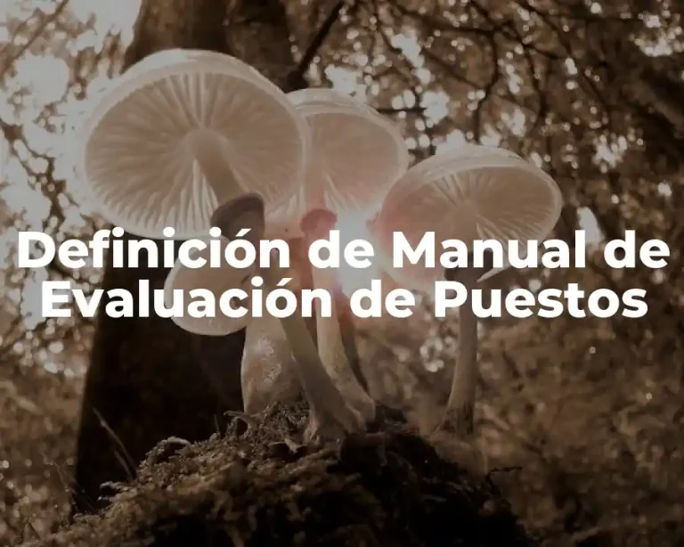 Definición de Manual de Evaluación de Puestos