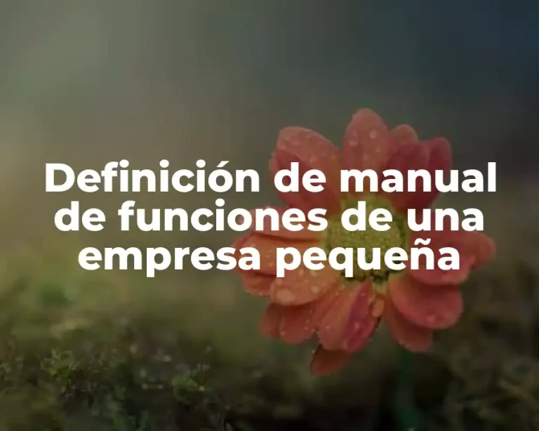 Definición de manual de funciones de una empresa pequeña