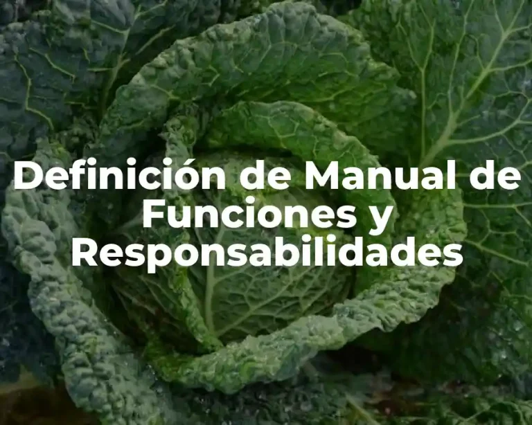 Definición de Manual de Funciones y Responsabilidades