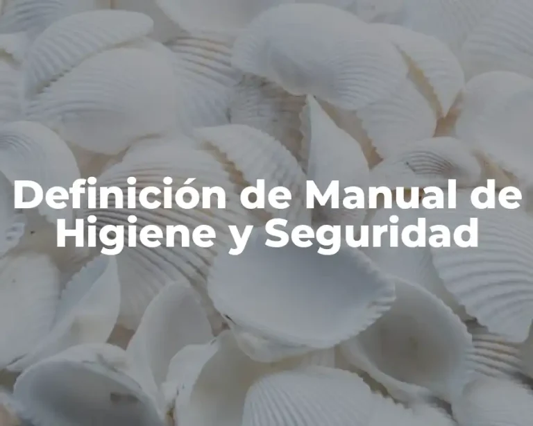 Definición de Manual de Higiene y Seguridad