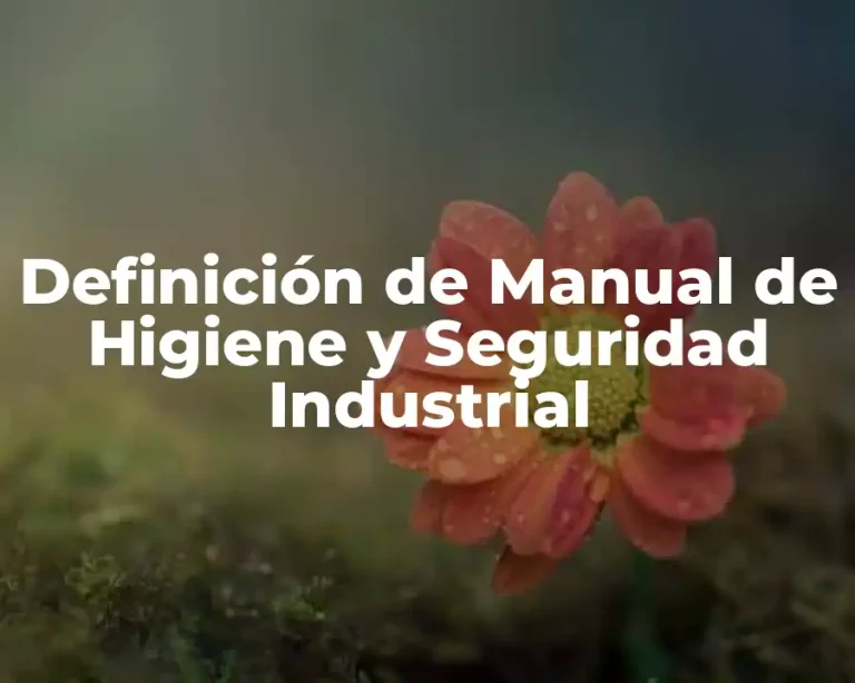 Definición de Manual de Higiene y Seguridad Industrial