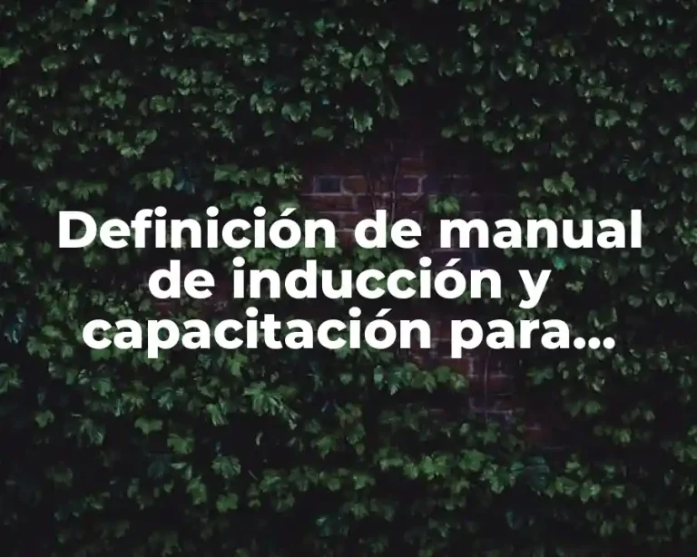 Definición de manual de inducción y capacitación para empresas