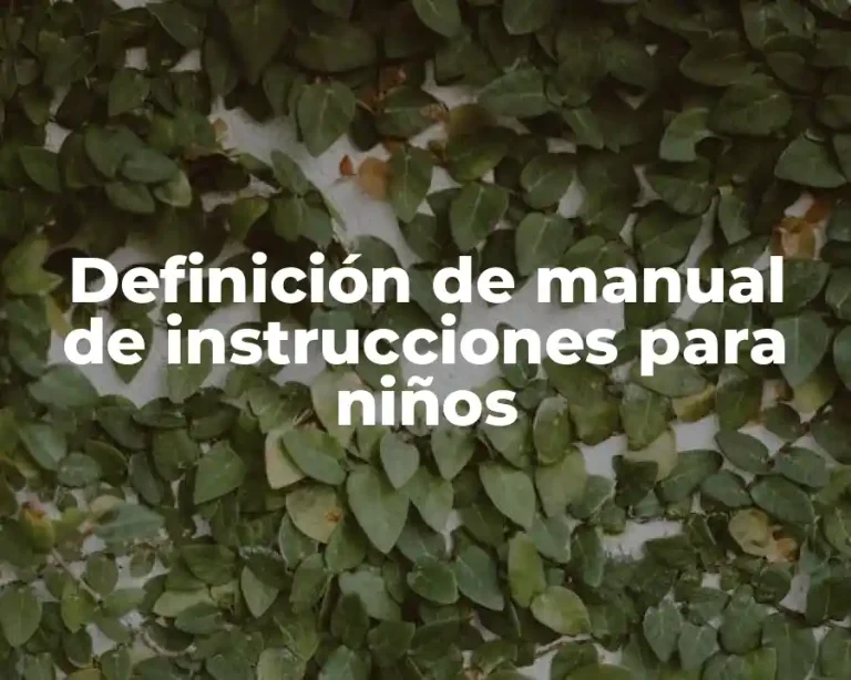 Definición de manual de instrucciones para niños