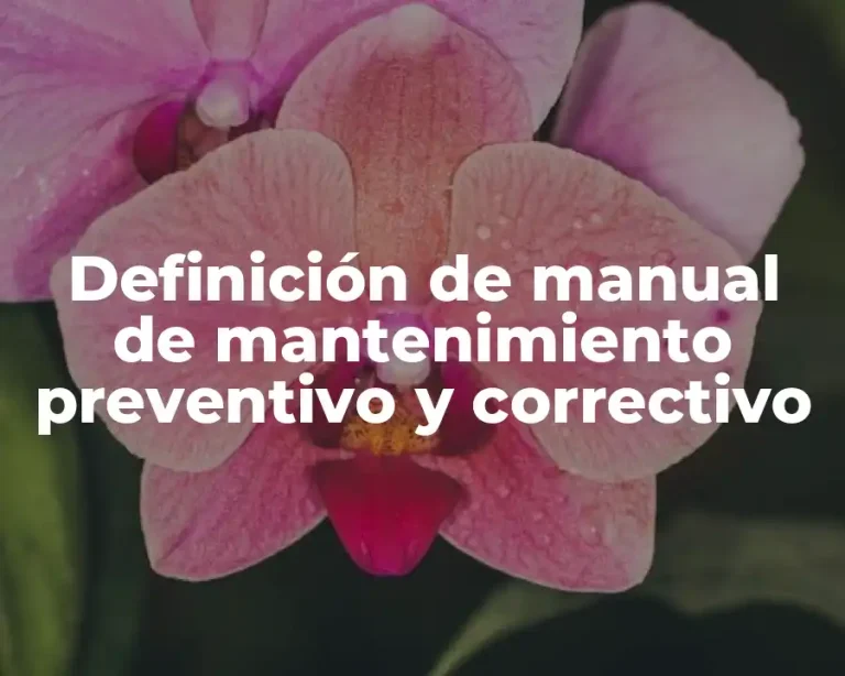 Definición de manual de mantenimiento preventivo y correctivo