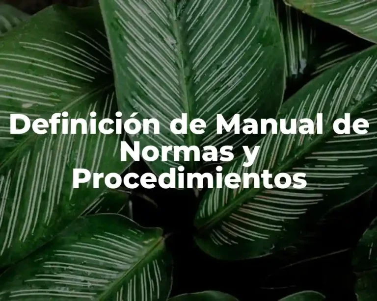 Definición de Manual de Normas y Procedimientos