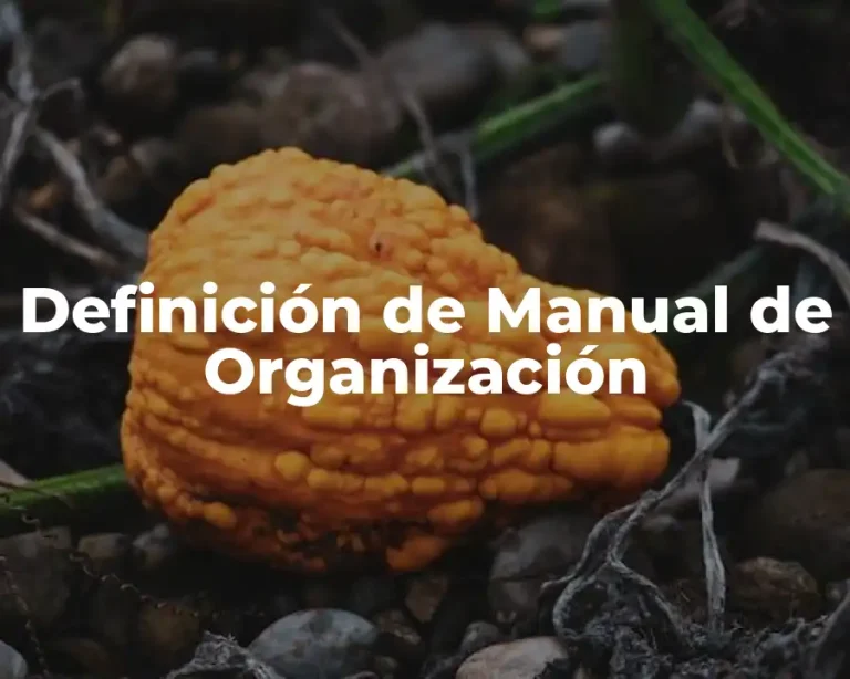 Definición de Manual de Organización