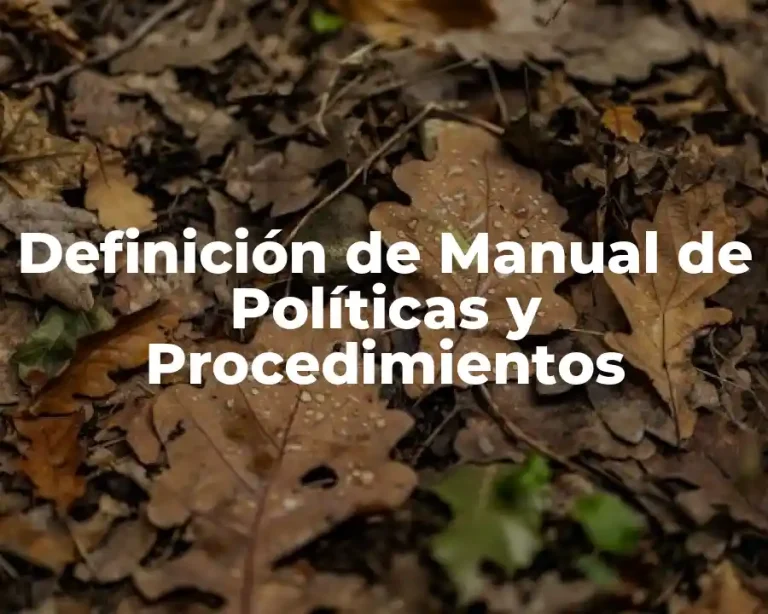 Definición de Manual de Políticas y Procedimientos
