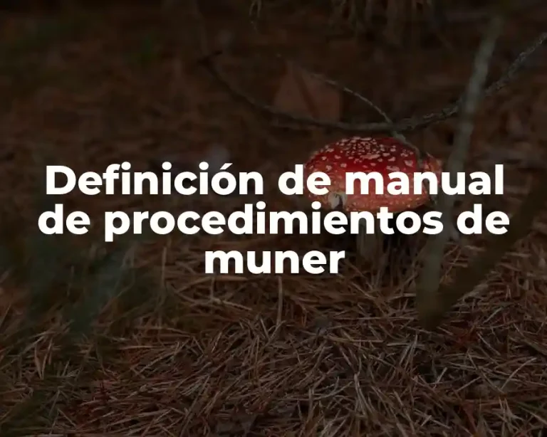 Definición de manual de procedimientos de muner