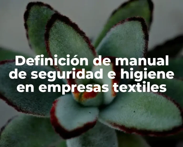Definición de manual de seguridad e higiene en empresas textiles