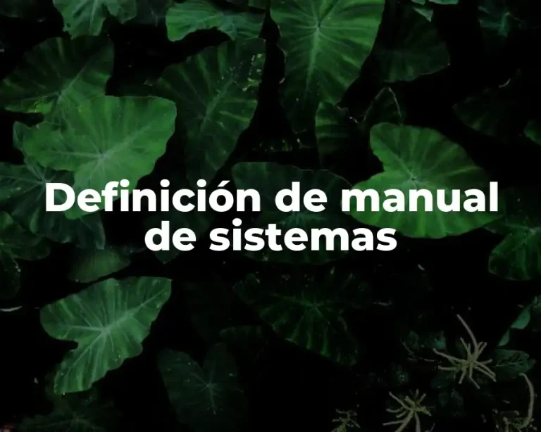Definición de manual de sistemas