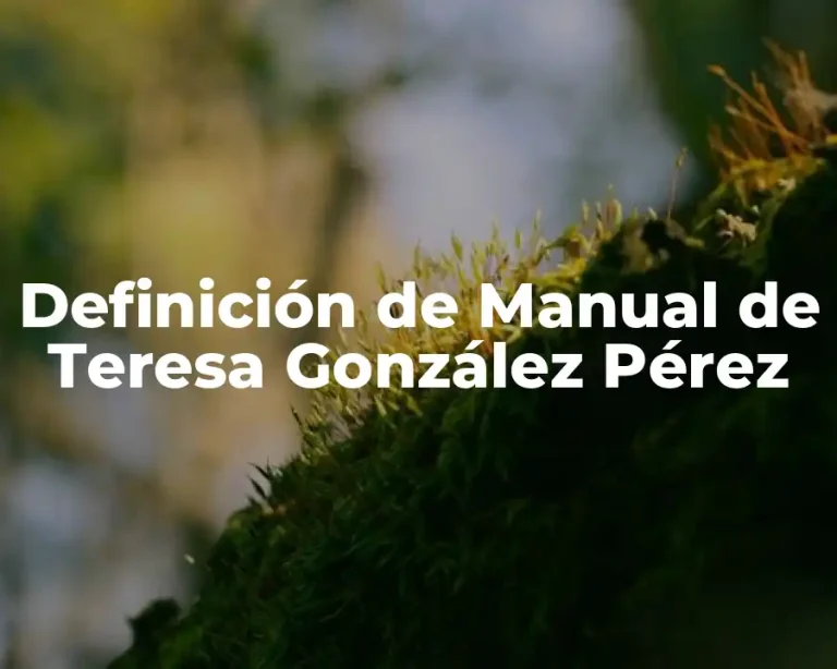 Definición de Manual de Teresa González Pérez