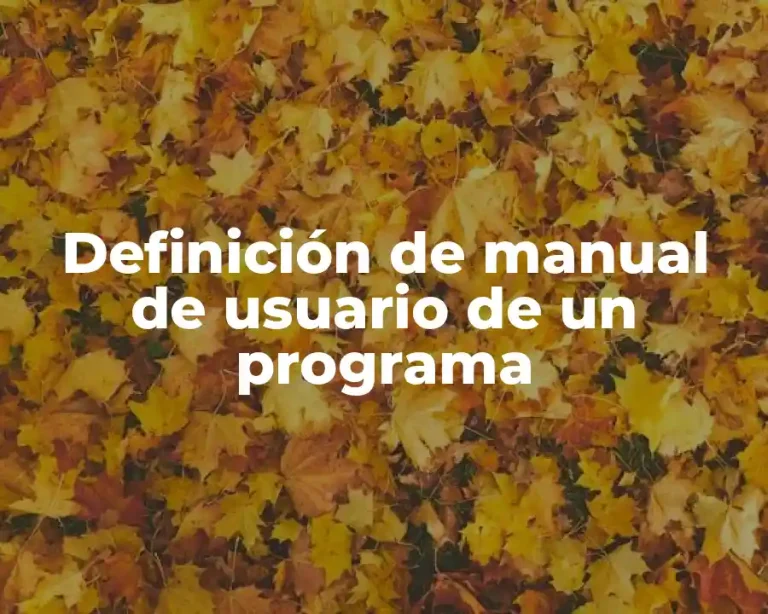 Definición de manual de usuario de un programa