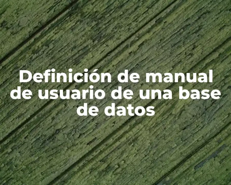Definición de manual de usuario de una base de datos