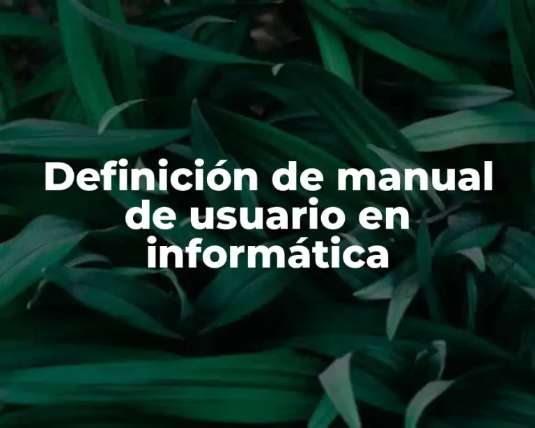 Definición de manual de usuario en informática