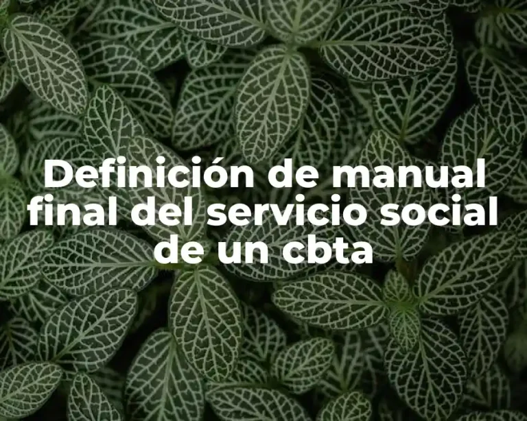 Definición de manual final del servicio social de un cbta