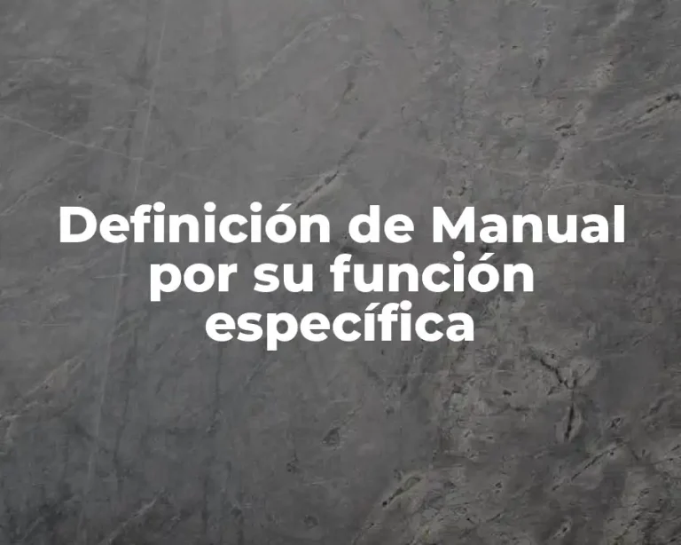 Definición de Manual por su función específica