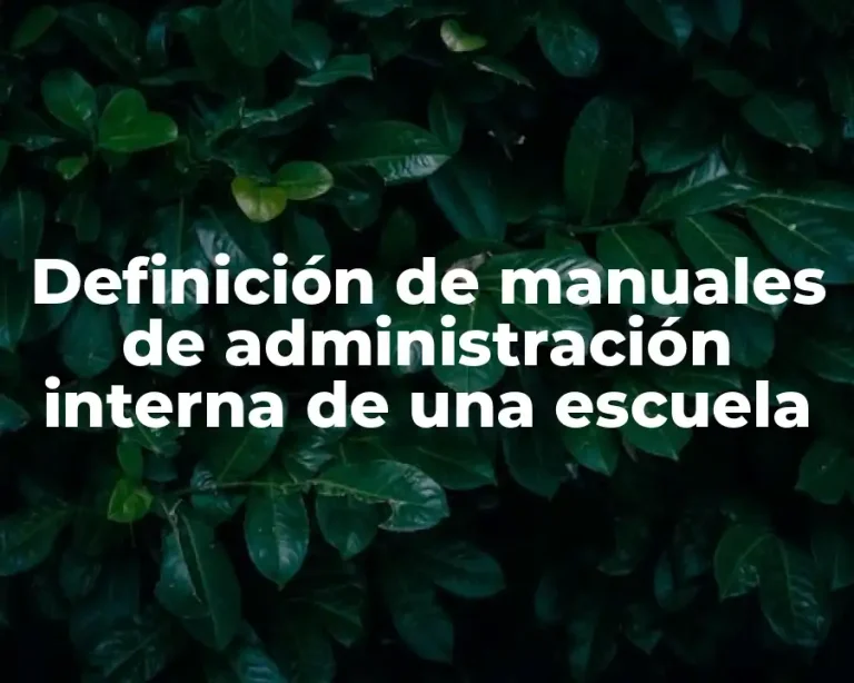 Definición de manuales de administración interna de una escuela