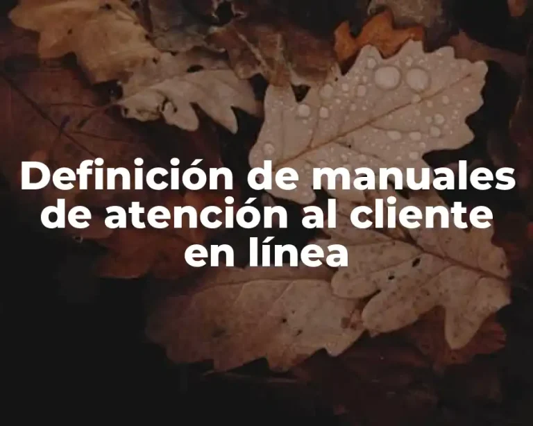 Definición de manuales de atención al cliente en línea
