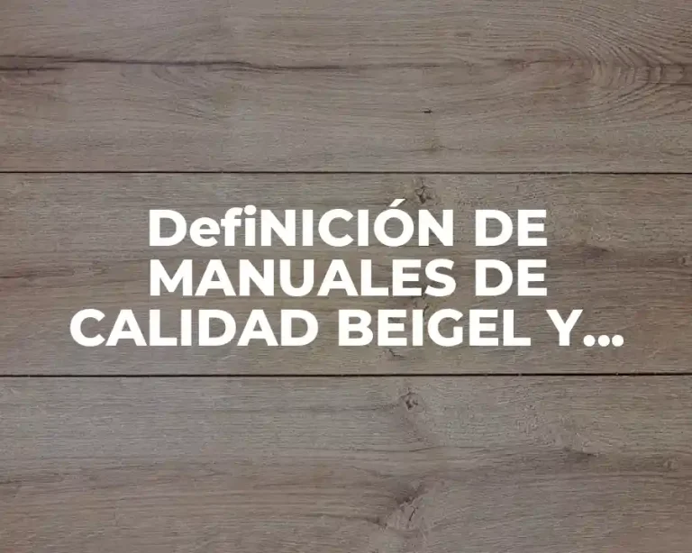 DefiNICIÓN DE MANUALES DE CALIDAD BEIGEL Y SALATINO 2015