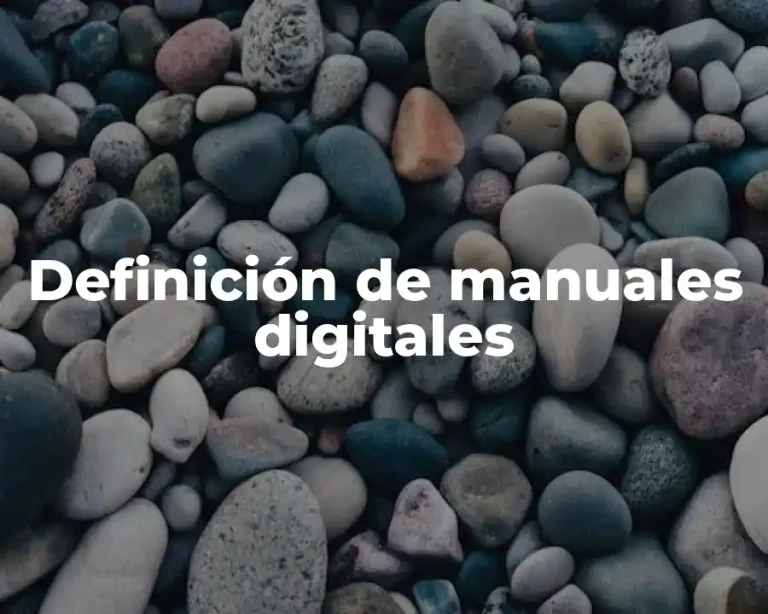 Definición de manuales digitales