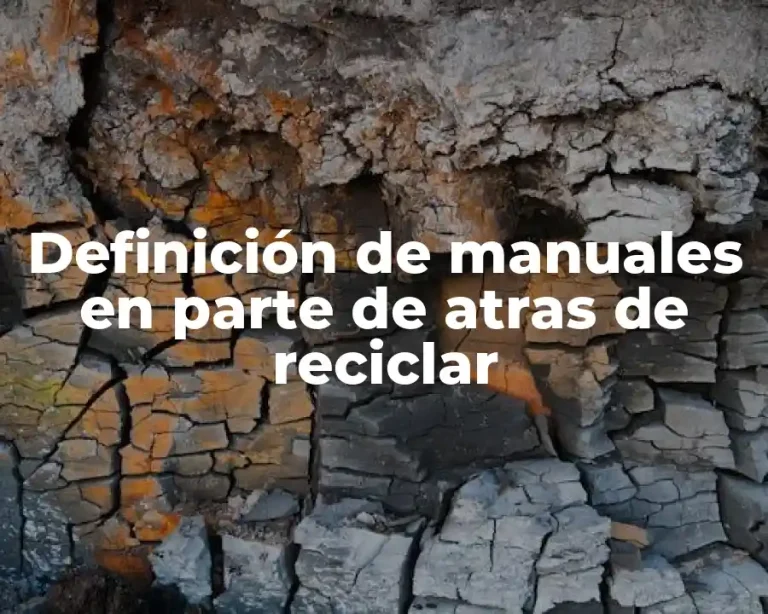 Definición de manuales en parte de atras de reciclar
